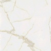 Calacatta Carrara