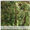 Rain Forest Green