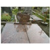 Juparana Colombo Granite Monument