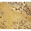 Travertino Amarillo