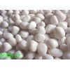 Decorative coloured pebbles (white)