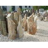 Amazon columns from Brazil