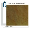 Camel Dust Sandstone