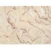 Alpinina Limestone