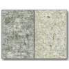 Shellfish Limestone