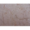 Special Offer: Crema Angora marble