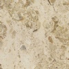 Aurisina Fiorita Marble
