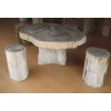 Petrified wood table slab