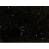 Artic Blue granite