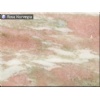Rosa Norvegia Marble