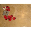 Chocolate Travertine