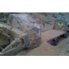 Black Gold Marble Stone(40 to 50 Ton)