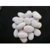 White Pebble Stone