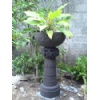 Lava Stone Flower Pot