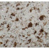 Chinese quartz stone