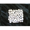 White Pebble Stone mosaic stone