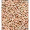 Light Red Tumbled Pebble