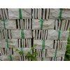 White Quartzite Mushroom