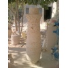 Mexican Shellstone Column