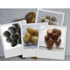 Natural loose pebble