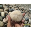 PEBBLES
