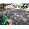 Red sandstone paving