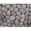 Pebble Stone on net