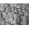 Snow White Pebble