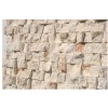 Crema Luna Syrian Limestone Mosaic