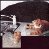 Bethel White Granite countertops