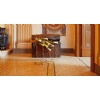 Venetian terrazzo floors and mosaics