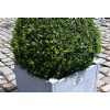 Garden Stone, Decorative Stones