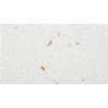 Quartz Stone, pearl with conch