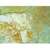 Limestone B4 Flagstone