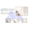 Salgueira and Blue Valverde Limestone Blocks