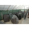 tombstones