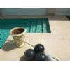 Jerusalem Gold Pool Coping