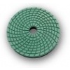 Mirusflex Disks