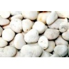 White Pebble Stone