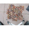 Stone Pieces With Net Pebble Stone