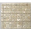 MOP shell mosaic
