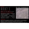 Blanco Arabescato marble