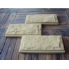 Yellow Sandstone Mushroom