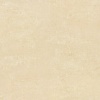 CYNOSURE /Polished Porcelain