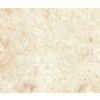 Samaha Marble