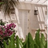 Dominican coral stone wall cladding