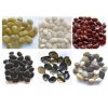Pebble Stone,River Pebble