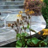 Slate Floors, Patio