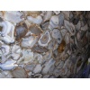 Semi Precious Blue Lace Gate Slab
