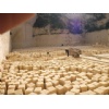 Maltese Limestone Blocks